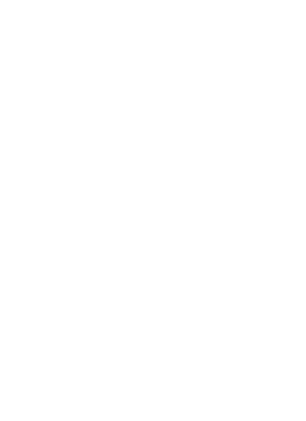 Left Decoration